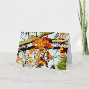 Schöne Herbstblätter, Herbstsegen Karte