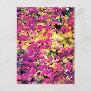 Schöne Herbstblätter Postkarte