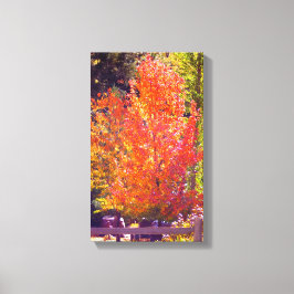 Schöne Herbstfarben 2 Leinwanddruck