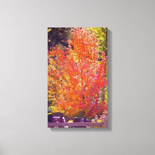 Schöne Herbstfarben 2 Leinwanddruck (Vorderseite)