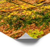 Schöne Herbstfarben Bäume Wald Poster (Ecke)