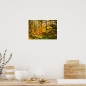Schöne Herbstfarben Bäume Wald Poster (Küche)