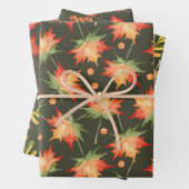 Schöne Herbstfarben Blätter (Beispiel)