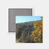 Schöne Herbstfarben...... Magnet (Vorderseite/Rückseite)