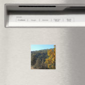 Schöne Herbstfarben...... Magnet (In Situ (Geschirrspüler))