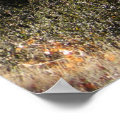 Schöne Herbstfarben...... Poster (Ecke)