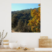 Schöne Herbstfarben...... Poster (Küche)