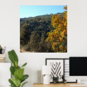 Schöne Herbstfarben...... Poster (Heimbüro)
