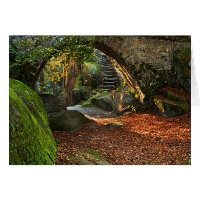 Schöne Herbstlandschaft (Vorderseite (Horizontal))