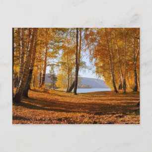 Schöne Herbstlandschaft Postkarte