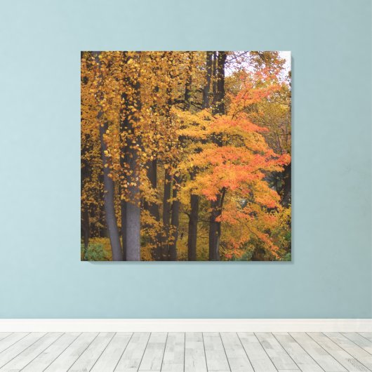 Schöne Herbstlaub Tulip Poplar Trees Leinwanddruck (Insitu (Holzboden))