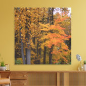 Schöne Herbstlaub Tulip Poplar Trees Leinwanddruck (Insitu (Wohnzimmer))