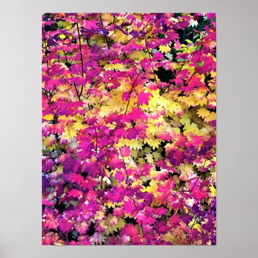 Schöne Herbstlaube Poster (Vorne)