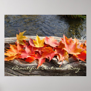 Schöne Herbsttag-Kunstwerke Geschenke Herbstlaub Poster