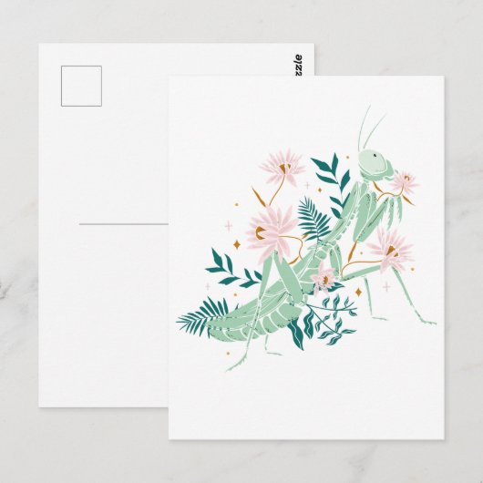 SCHÖNE HEUSCHRECKE POSTKARTE (Vorne/Hinten)