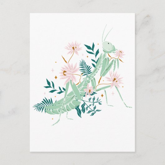 SCHÖNE HEUSCHRECKE POSTKARTE (Vorderseite)