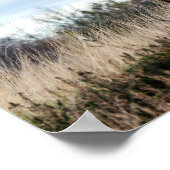 Schöne Highland Cattle Poster (Ecke)