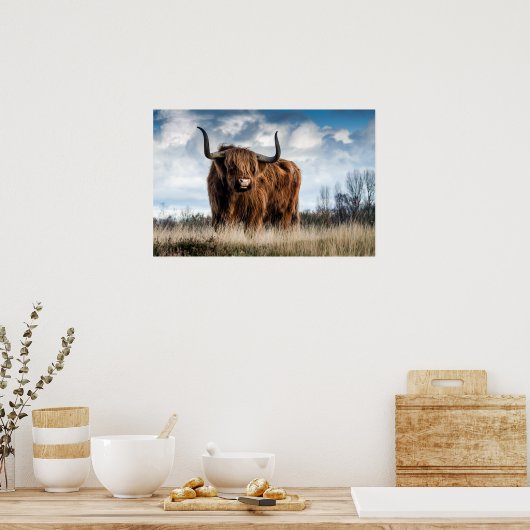 Schöne Highland Cattle Poster (Küche)