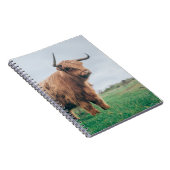 SCHÖNE HIGHLAND-KATTLE NOTIZBLOCK (Rechte Seite)