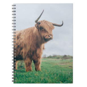 SCHÖNE HIGHLAND-KATTLE NOTIZBLOCK