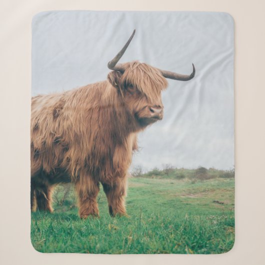 SCHÖNE HIGHLAND-KATTLE SHERPADECKE (Vorderseite)