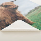 SCHÖNE HIGHLAND-KATTLE SHERPADECKE (3/4)