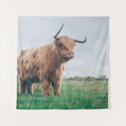 SCHÖNE HIGHLAND-KATTLE WANDTEPPICH (Vorderseite)