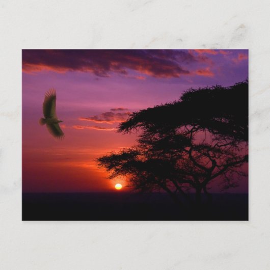 Schöne Himmel auf der Postkarte (Vorderseite)