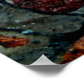 schöne Hintergrundtextur mit Steinabstrakten, Poster (Ecke)