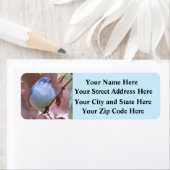 Schöne Hinterhofvögel - Rücksendeadressen-Aufklebe (Insitu)