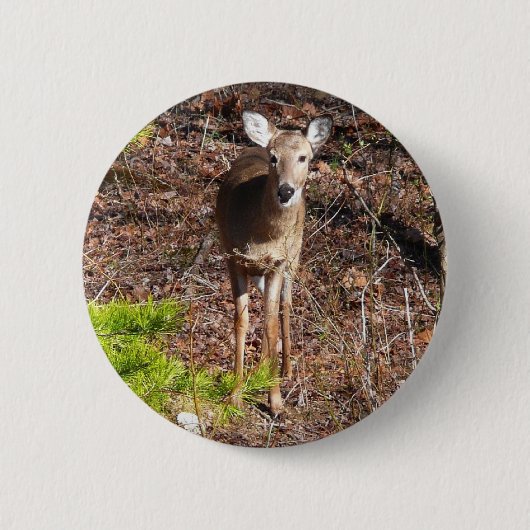Schöne Hirsche in der Waldnaturfotografie Button (Vorderseite)