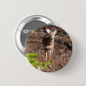 Schöne Hirsche in der Waldnaturfotografie Button (Vorne & Hinten)