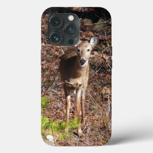 Schöne Hirsche in der Waldnaturfotografie Case-Mate iPhone Hülle