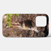Schöne Hirsche in der Waldnaturfotografie Case-Mate iPhone Hülle (Rückseite (Horizontal))