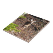 Schöne Hirsche in der Waldnaturfotografie Fliese (Seite)