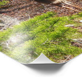 Schöne Hirsche in der Waldnaturfotografie Fotodruck (Ecke)