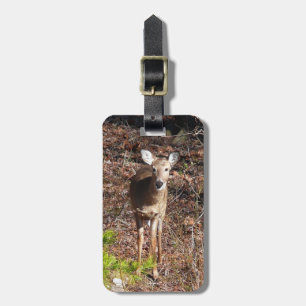 Schöne Hirsche in der Waldnaturfotografie Gepäckanhänger