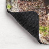 Schöne Hirsche in der Waldnaturfotografie Mousepad (Ecke)