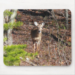 Schöne Hirsche in der Waldnaturfotografie Mousepad
