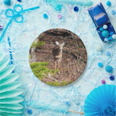 Schöne Hirsche in der Waldnaturfotografie Pappteller (Party)