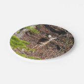 Schöne Hirsche in der Waldnaturfotografie Pappteller (Schrägansicht)