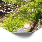 Schöne Hirsche in der Waldnaturfotografie Poster (Ecke)