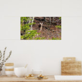 Schöne Hirsche in der Waldnaturfotografie Poster (Küche)