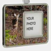 Schöne Hirsche in der Waldnaturfotografie Rahmen-Ornament Silber (Rechts)