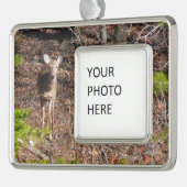 Schöne Hirsche in der Waldnaturfotografie Rahmen-Ornament Silber (Links)
