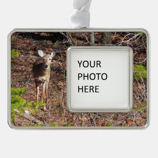 Schöne Hirsche in der Waldnaturfotografie Rahmen-Ornament Silber (Vorderseite)