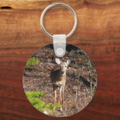 Schöne Hirsche in der Waldnaturfotografie Schlüsselanhänger (Vorderseite)