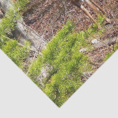 Schöne Hirsche in der Waldnaturfotografie Seidenpapier (Ausschnitt)