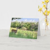 Schöne Hirschfotografie Natur glücklich Geburtstag Karte (Gelbe Blume)