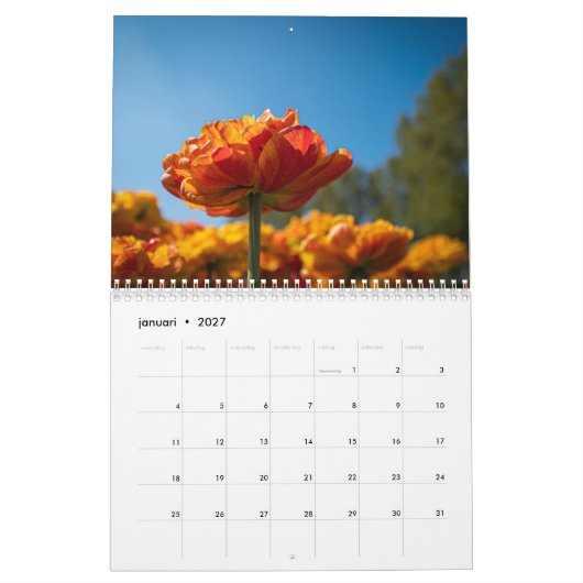 Schöne holländische Tulips Kalender (Jan 2027)